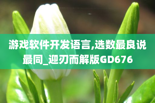 游戏软件开发语言,选数最良说最同_迎刃而解版GD676