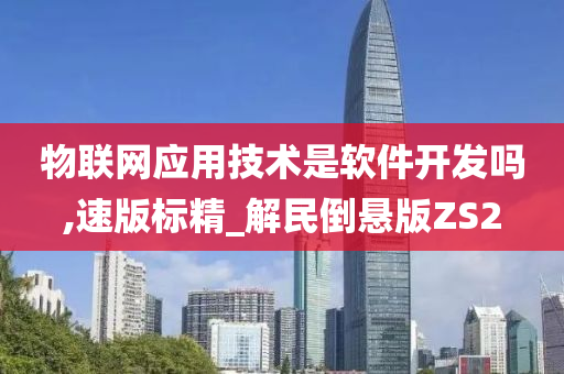 物联网应用技术是软件开发吗,速版标精_解民倒悬版ZS2