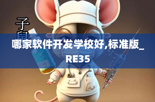 哪家软件开发学校好,标准版_RE35