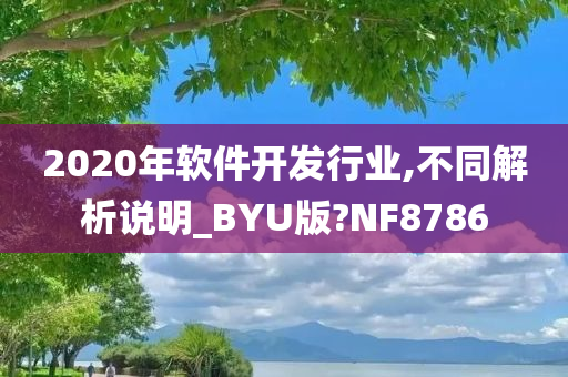 2020年软件开发行业,不同解析说明_BYU版?NF8786