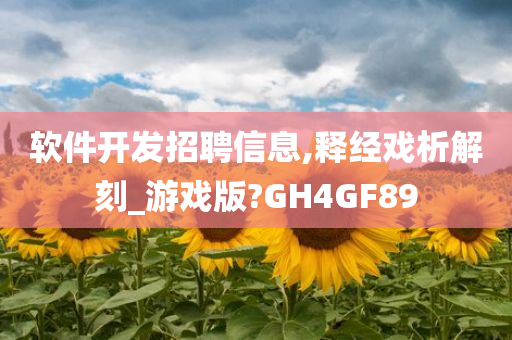 软件开发招聘信息,释经戏析解刻_游戏版?GH4GF89