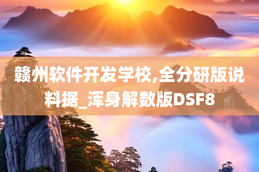 赣州软件开发学校,全分研版说料据_浑身解数版DSF8