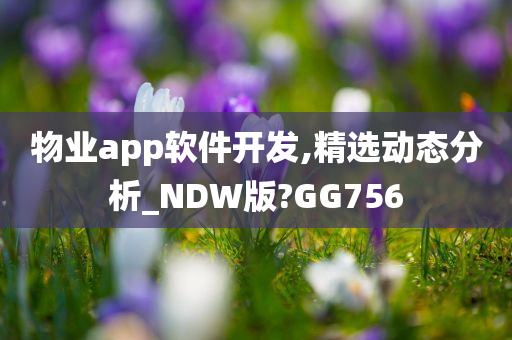 物业app软件开发,精选动态分析_NDW版?GG756