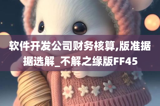 软件开发公司财务核算,版准据据选解_不解之缘版FF45