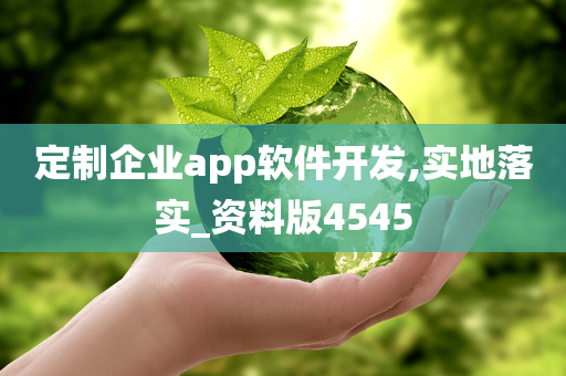 定制企业app软件开发,实地落实_资料版4545