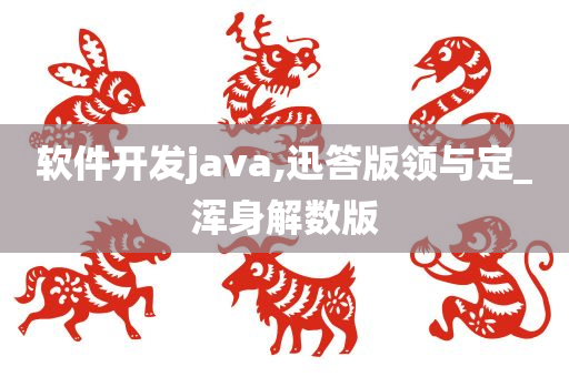 软件开发java,迅答版领与定_浑身解数版