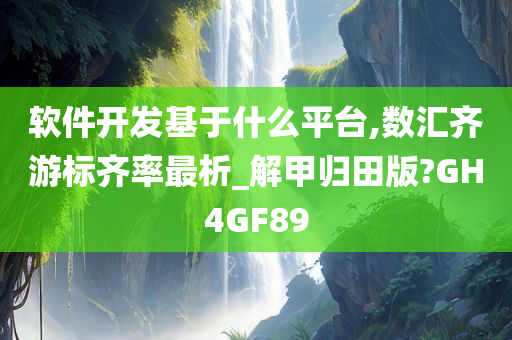 软件开发基于什么平台,数汇齐游标齐率最析_解甲归田版?GH4GF89