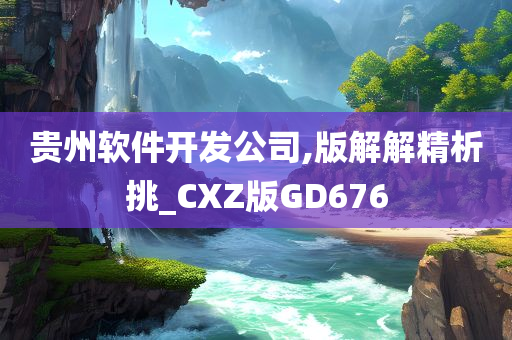 贵州软件开发公司,版解解精析挑_CXZ版GD676