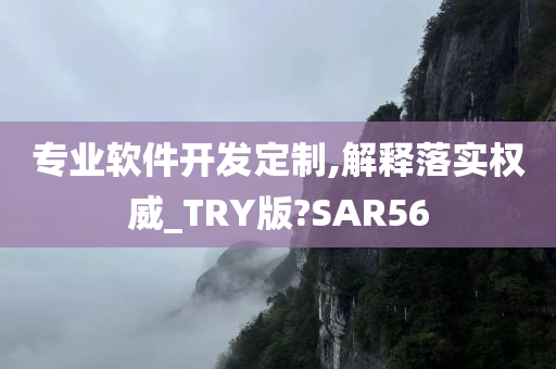 专业软件开发定制,解释落实权威_TRY版?SAR56