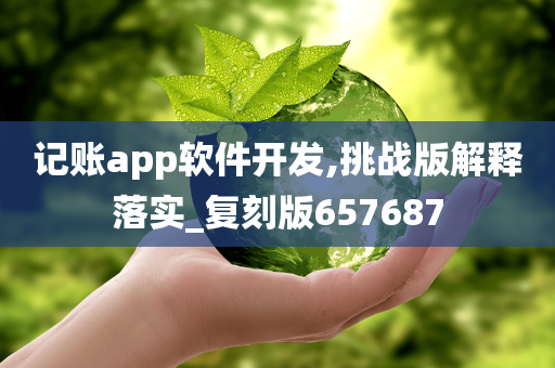 记账app软件开发,挑战版解释落实_复刻版657687