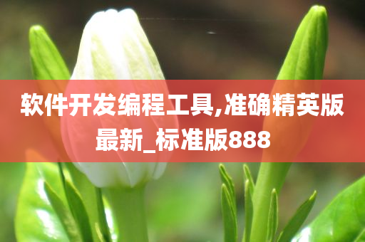 软件开发编程工具,准确精英版最新_标准版888