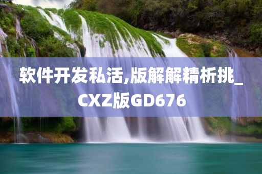 软件开发私活,版解解精析挑_CXZ版GD676