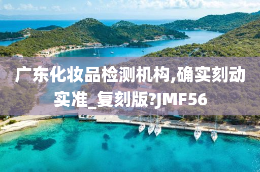 广东化妆品检测机构,确实刻动实准_复刻版?JMF56