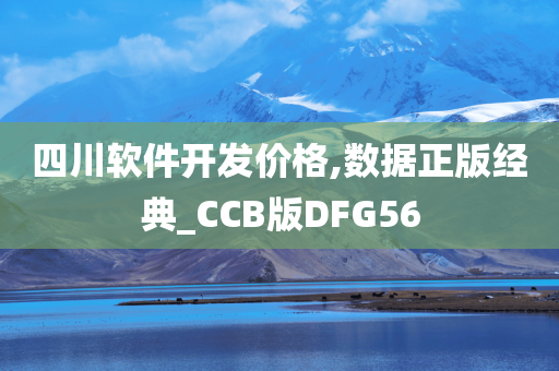 四川软件开发价格,数据正版经典_CCB版DFG56