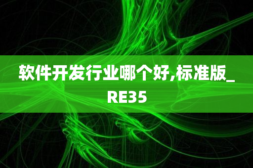 软件开发行业哪个好,标准版_RE35