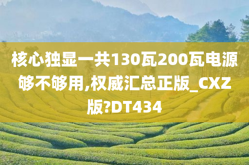 核心独显一共130瓦200瓦电源够不够用,权威汇总正版_CXZ版?DT434