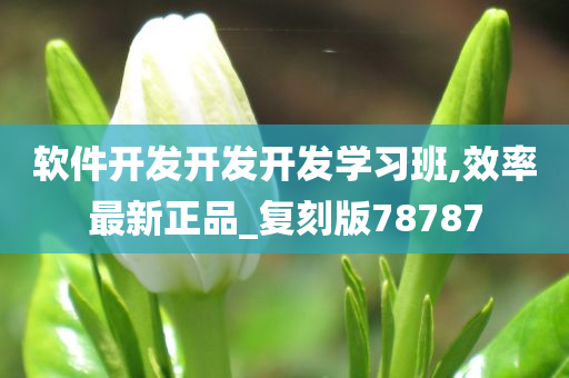 软件开发开发开发学习班,效率最新正品_复刻版78787