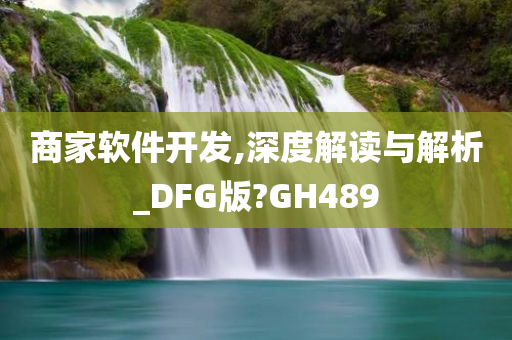 商家软件开发,深度解读与解析_DFG版?GH489