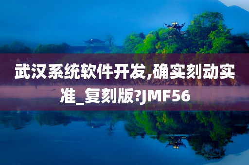 武汉系统软件开发,确实刻动实准_复刻版?JMF56