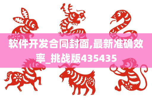 软件开发合同封面,最新准确效率_挑战版435435