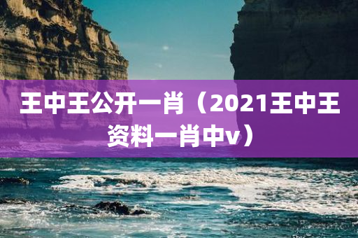 王中王公开一肖（2021王中王资料一肖中v）