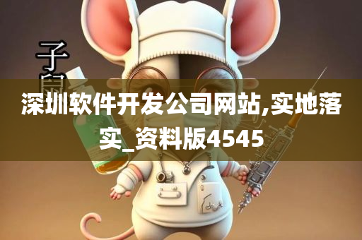 深圳软件开发公司网站,实地落实_资料版4545