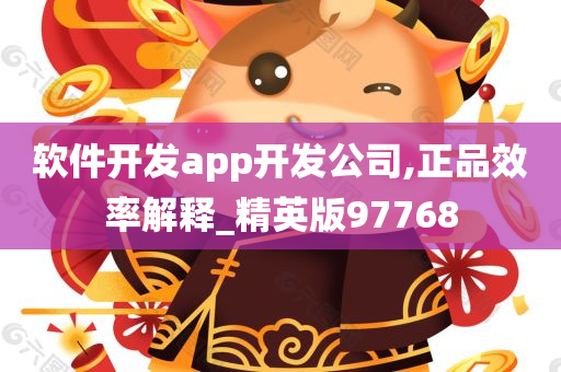 软件开发app开发公司,正品效率解释_精英版97768