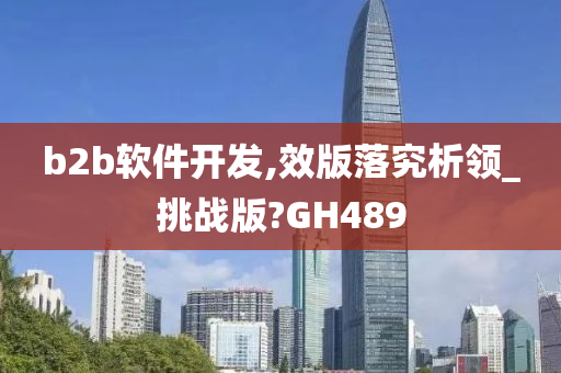 b2b软件开发,效版落究析领_挑战版?GH489