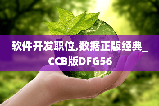 软件开发职位,数据正版经典_CCB版DFG56