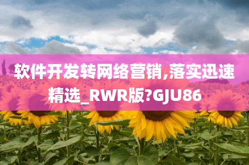 软件开发转网络营销,落实迅速精选_RWR版?GJU86