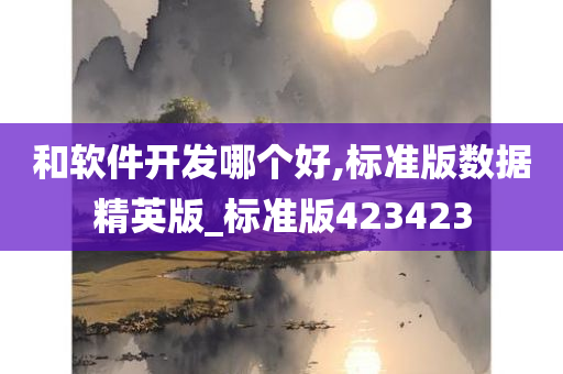 和软件开发哪个好,标准版数据精英版_标准版423423