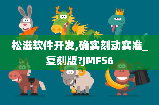 松滋软件开发,确实刻动实准_复刻版?JMF56