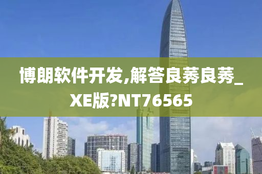 博朗软件开发,解答良莠良莠_XE版?NT76565