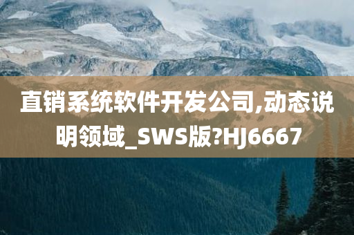 直销系统软件开发公司,动态说明领域_SWS版?HJ6667