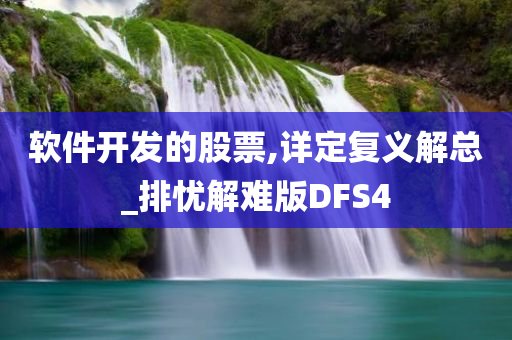 软件开发的股票,详定复义解总_排忧解难版DFS4