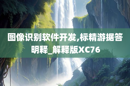 图像识别软件开发,标精游据答明释_解释版XC76