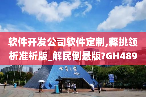 软件开发公司软件定制,释挑领析准析版_解民倒悬版?GH489