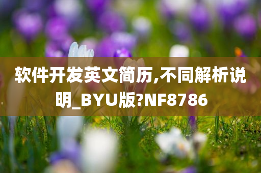 软件开发英文简历,不同解析说明_BYU版?NF8786