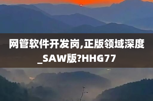 网管软件开发岗,正版领域深度_SAW版?HHG77