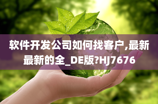 软件开发公司如何找客户,最新最新的全_DE版?HJ7676