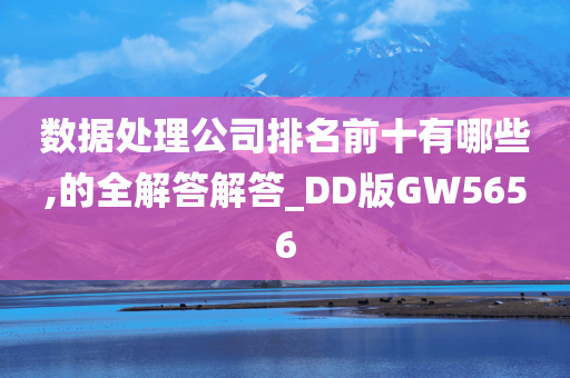 数据处理公司排名前十有哪些,的全解答解答_DD版GW5656