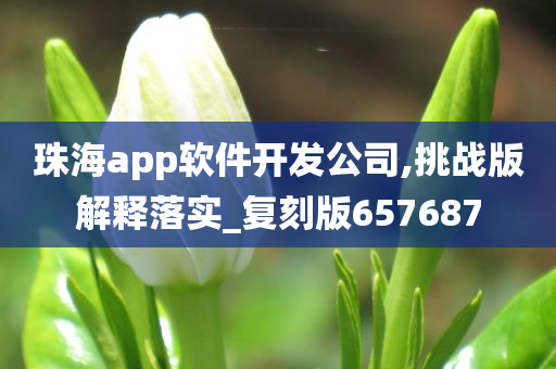 珠海app软件开发公司,挑战版解释落实_复刻版657687