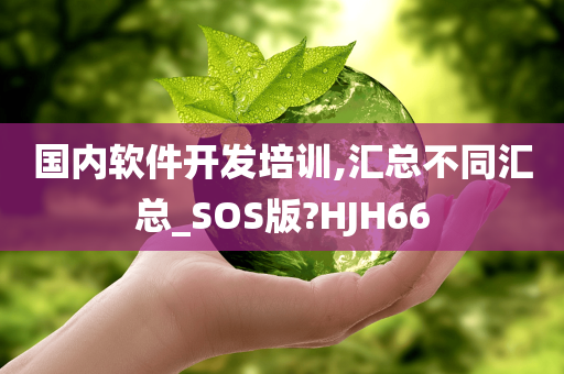 国内软件开发培训,汇总不同汇总_SOS版?HJH66