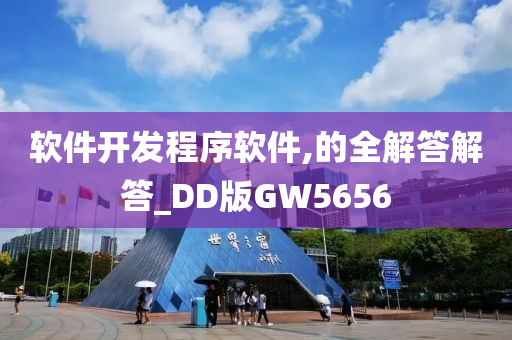 软件开发程序软件,的全解答解答_DD版GW5656