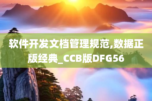 软件开发文档管理规范,数据正版经典_CCB版DFG56