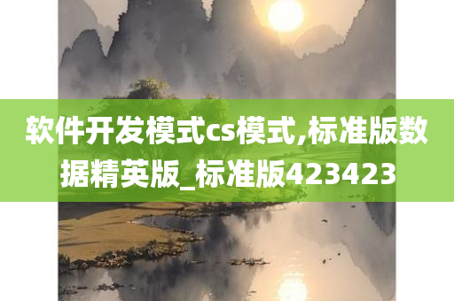 软件开发模式cs模式,标准版数据精英版_标准版423423