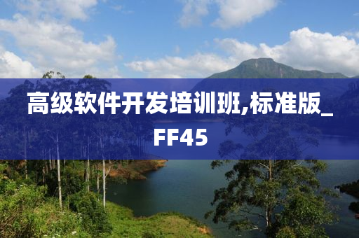 高级软件开发培训班,标准版_FF45