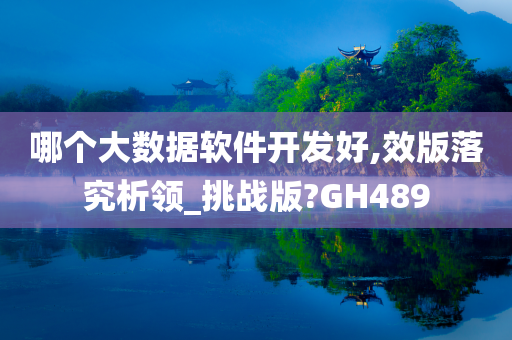 哪个大数据软件开发好,效版落究析领_挑战版?GH489