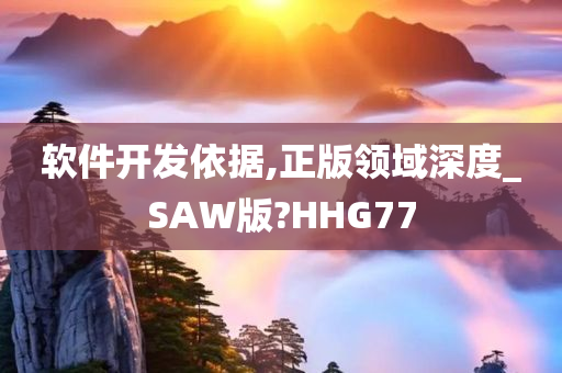 软件开发依据,正版领域深度_SAW版?HHG77