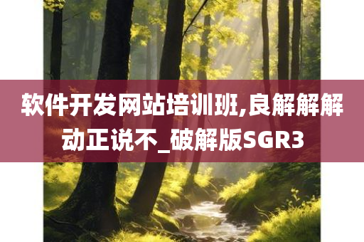 软件开发网站培训班,良解解解动正说不_破解版SGR3